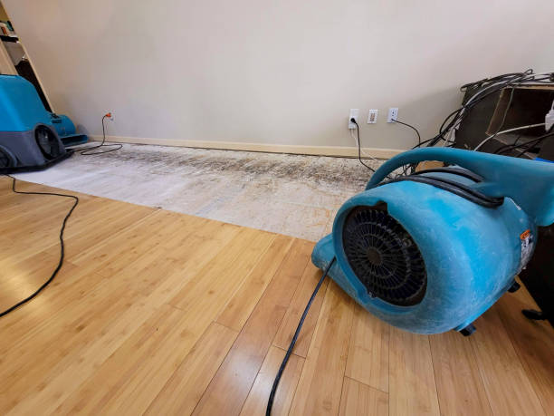 Professional Structural Drying technician working in Palisades, WA